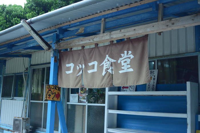 美ら海水族館から車で3分！フクギ並木や備瀬ビーチを徹底レポート！