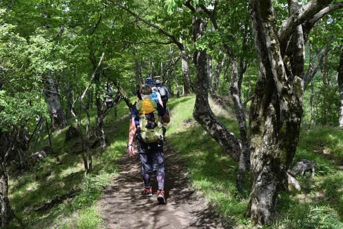 【日帰り登山】関東近郊の眺望絶佳『丹沢山地』を歩こう！