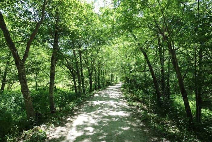 夏の避暑地「上高地」へ行ってきました！