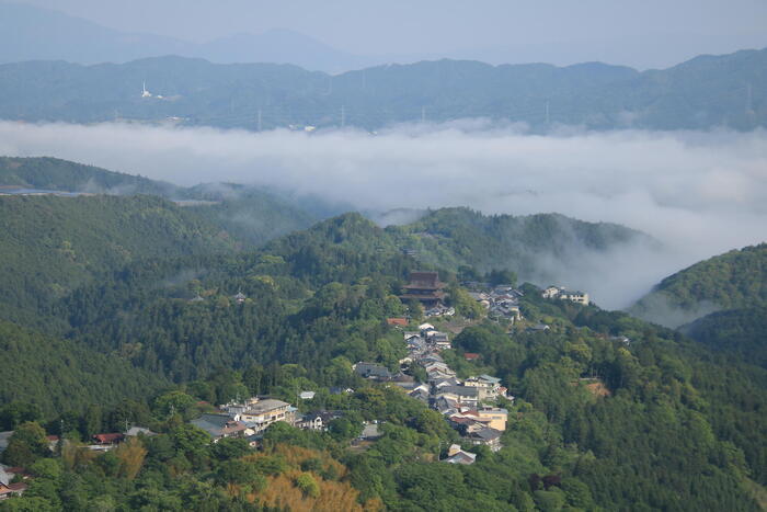 【私の好きな日本遺産】奈良県「吉野」は、自然と人の共生を垣間見られる奥大和の原風景