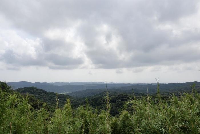 種子島