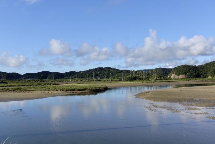 種子島