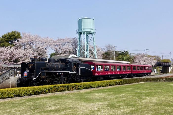 京都鉄道博物館を楽しもう！【ファミリー編】