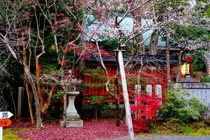 京のパワースポット！表鬼門を守る陰陽道の祖神『赤山禅院』と神々