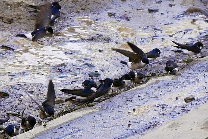 いざ水芭蕉の楽園へ！初心者でも日帰りできる尾瀬ヶ原ハイキングコース