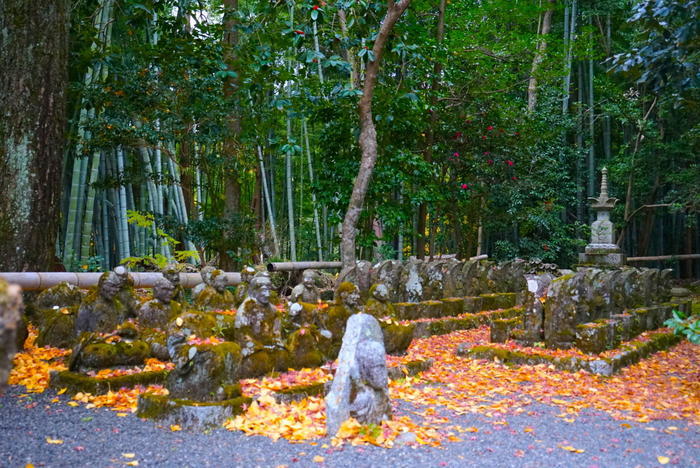 京のパワースポット！表鬼門を守る陰陽道の祖神『赤山禅院』と神々