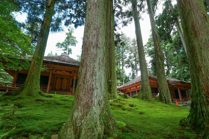 【京都の世界遺産巡り3】比叡山をまたぐようにある延暦寺のおすすめ観光ルート