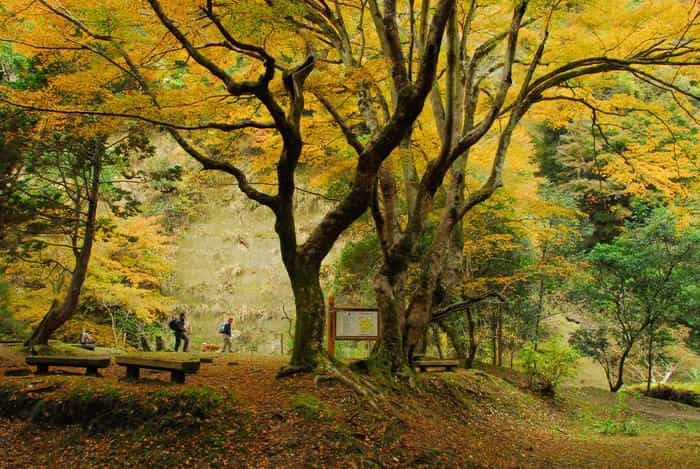 千葉房総の奥座敷！養老渓谷で渓谷ハイキング＆温泉グルメ三昧