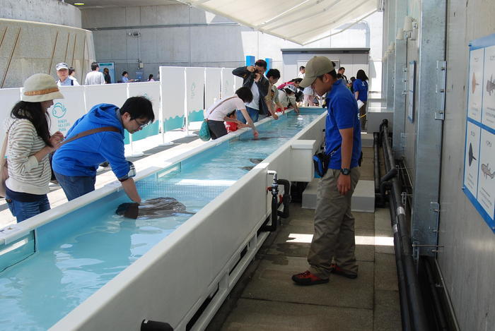 葛西臨海水族園の見どころを徹底レポート！観覧車など周辺情報も！