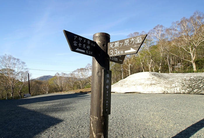 いざ水芭蕉の楽園へ！初心者でも日帰りできる尾瀬ヶ原ハイキングコース