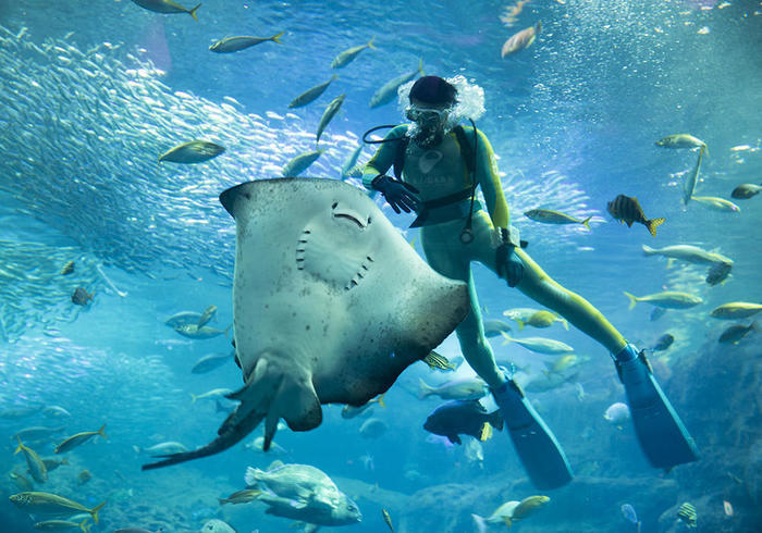 新江ノ島水族館（えのすい）の見どころを徹底レポート！ イルカショーは必見！