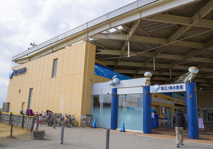 新江ノ島水族館（えのすい）の見どころを徹底レポート！ イルカショーは必見！