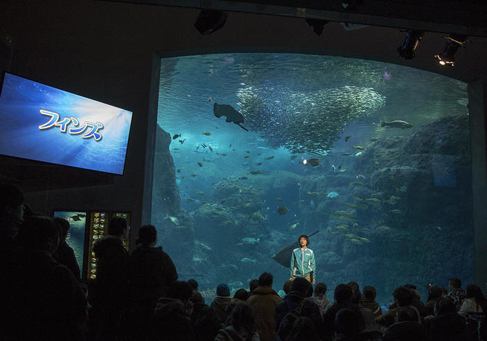 新江ノ島水族館（えのすい）の見どころを徹底レポート！ イルカショーは必見！