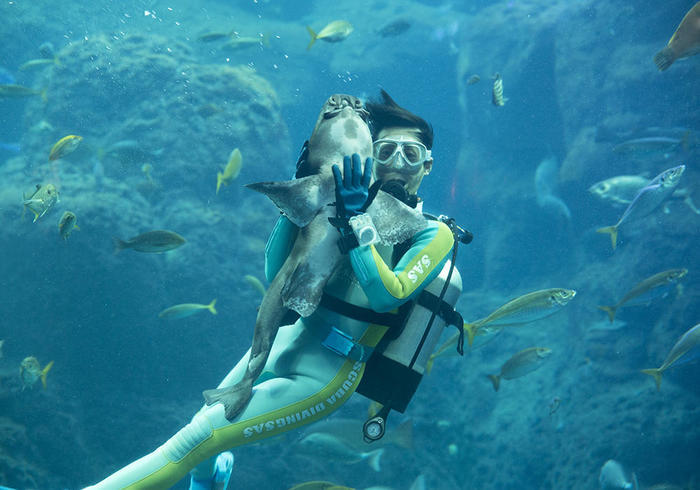 新江ノ島水族館（えのすい）の見どころを徹底レポート！ イルカショーは必見！