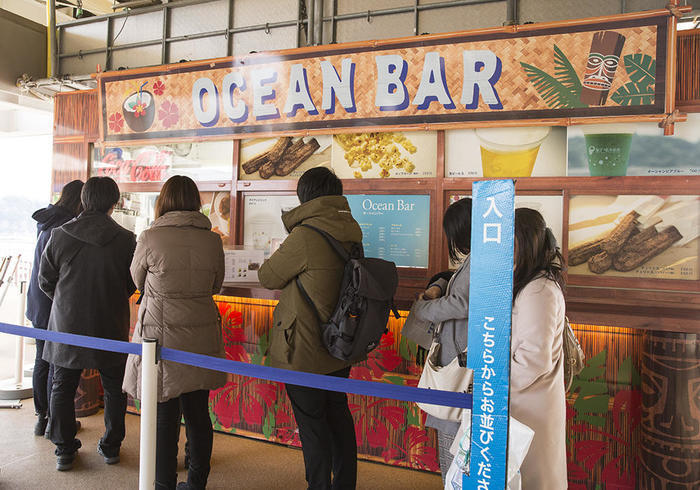 新江ノ島水族館（えのすい）の見どころを徹底レポート！ イルカショーは必見！