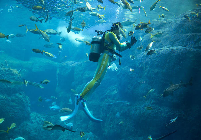 新江ノ島水族館（えのすい）の見どころを徹底レポート！ イルカショーは必見！