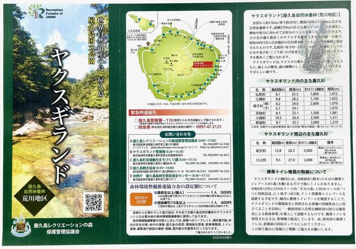 【鹿児島】ヤクスギランドは誰でも気軽に行ける自然植物園