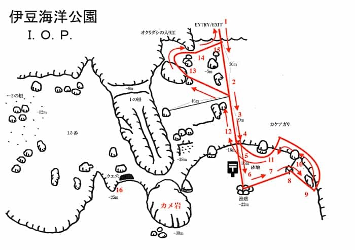 東伊豆・伊豆海洋公園セルフダイビングコースと見どころ-豊富なコース取り-