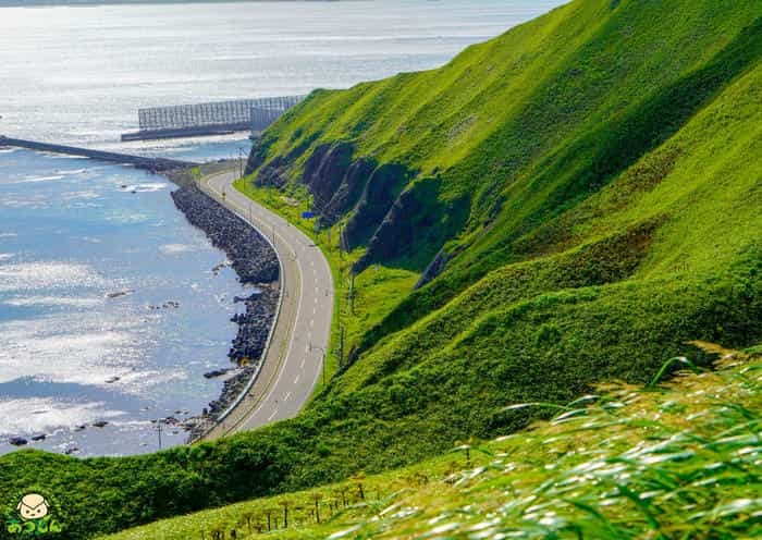 絶景の連続!北海道・礼文島でトレッキングを楽しもう~岬めぐりコース編~