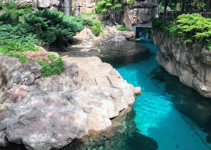 【徹底取材】よこはま動物園ズーラシアの攻略法・アクセス・混雑状況まで!家族サービスにもデートにもおすすめです!