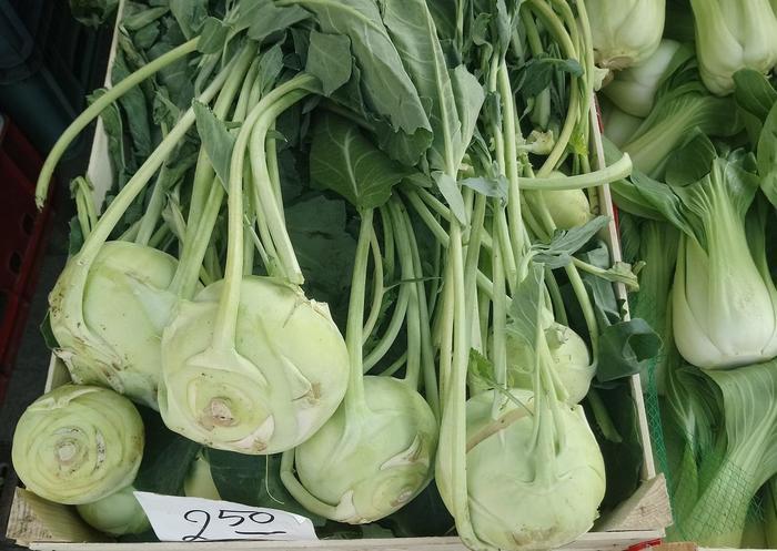 海外の野菜!ポーランドで見つけた珍しい野菜5選