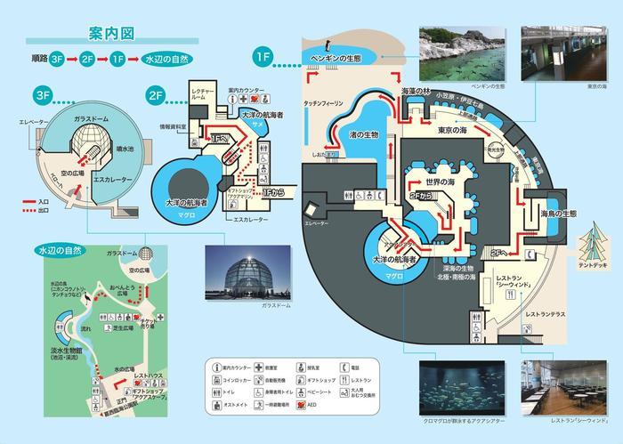 葛西臨海水族園の見どころを徹底レポート！観覧車など周辺情報も！