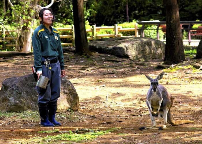 【徹底取材】よこはま動物園ズーラシアの攻略法・アクセス・混雑状況まで！家族サービスにもデートにもおすすめです！