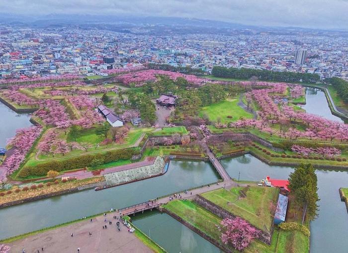 北海道の函館・松前　絶景の桜とお城を求めて＾＾