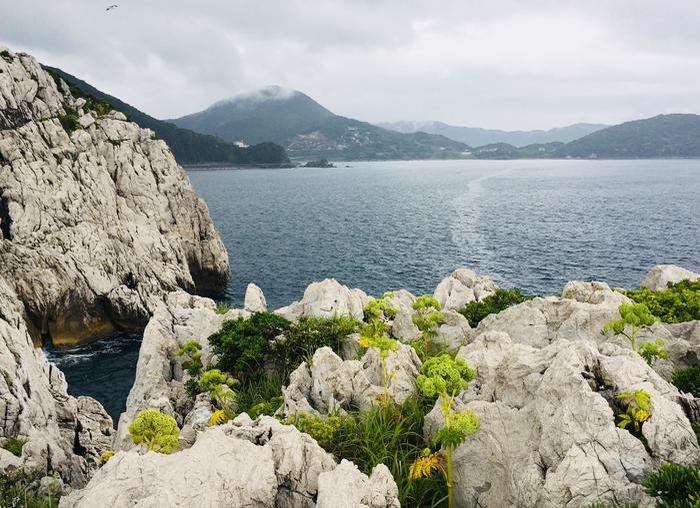 【和歌山】日本のエーゲ海？！「白崎海岸」と白浜の景勝地「三段壁」に行ってきました！