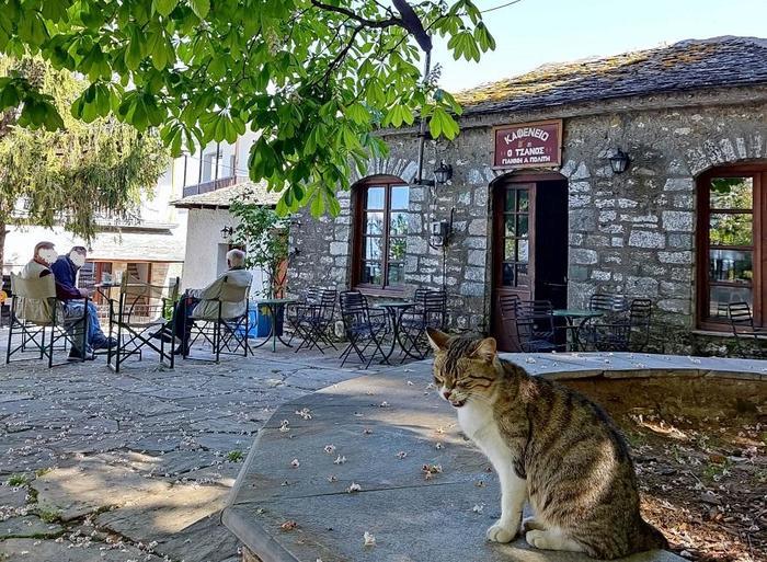 【ギリシャ中部】ピリオ、ヴォロスで新緑とグルメを楽しむ