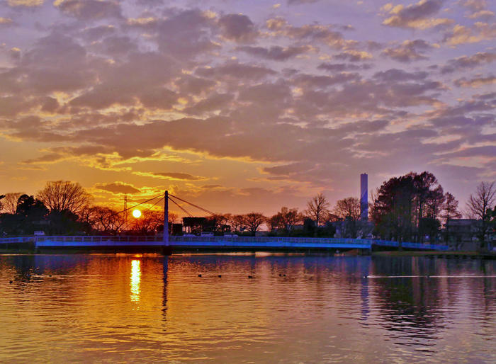 劇的な紅色に染まる葉と花、空。 晩秋・初冬は葛飾区水元公園に行こう！