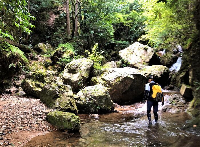 【兵庫】涼を求めて♪穴場のゆる～い沢登りスポット「日ヶ奥渓谷」in 丹波市