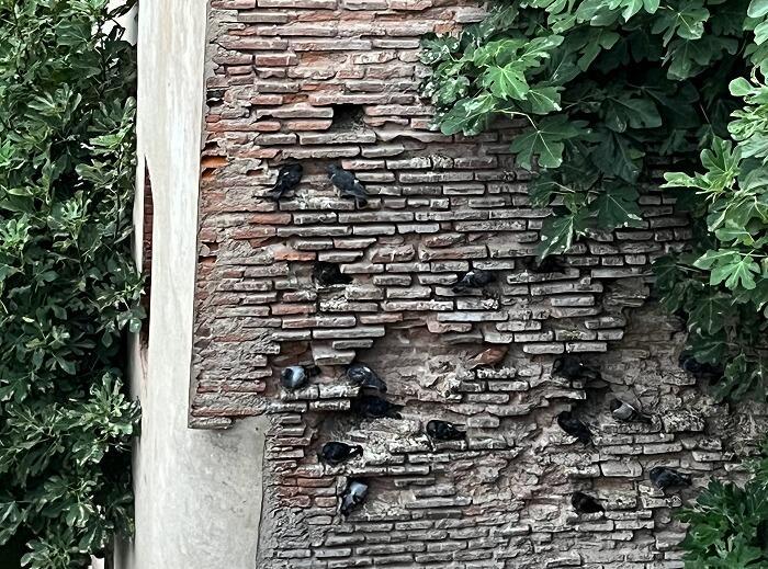 【フランス】バラ色の世界遺産「アルビの司教都市」を散策