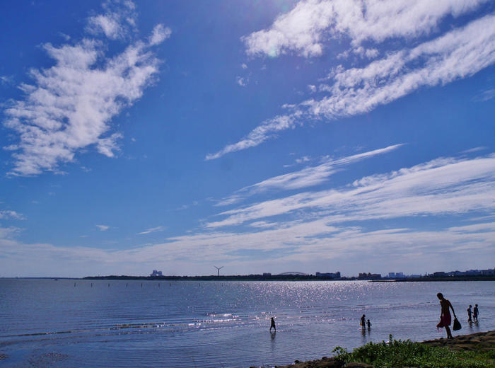 【葛西臨海公園】真冬の醍醐味「23区最大規模のスイセン畑」と「日本最大級の大観覧車から眺める富士山」。四季の花情報もお伝えします