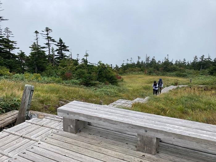 【初秋の登山】花と日本の百名山　苗場山と谷川岳へ！上信越山旅