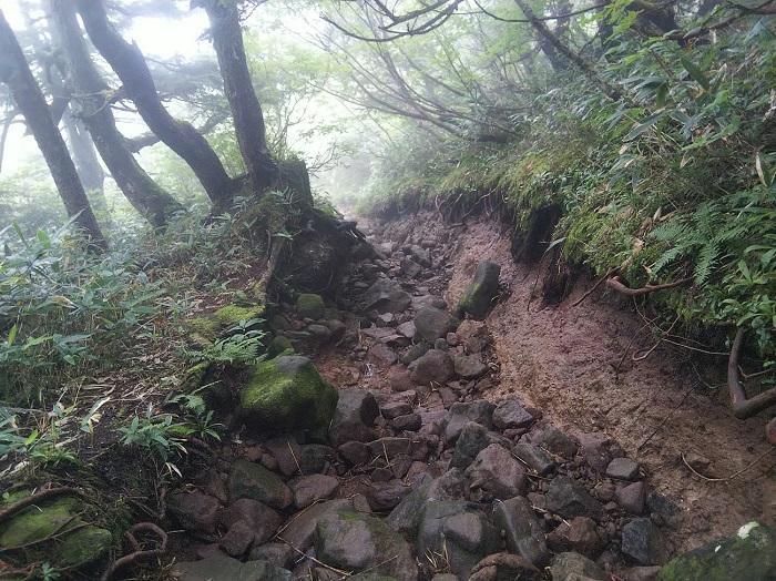 【初秋の登山】花と日本の百名山　苗場山と谷川岳へ！上信越山旅