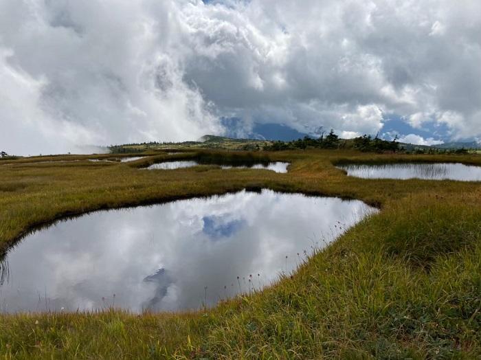 【初秋の登山】花と日本の百名山　苗場山と谷川岳へ！上信越山旅