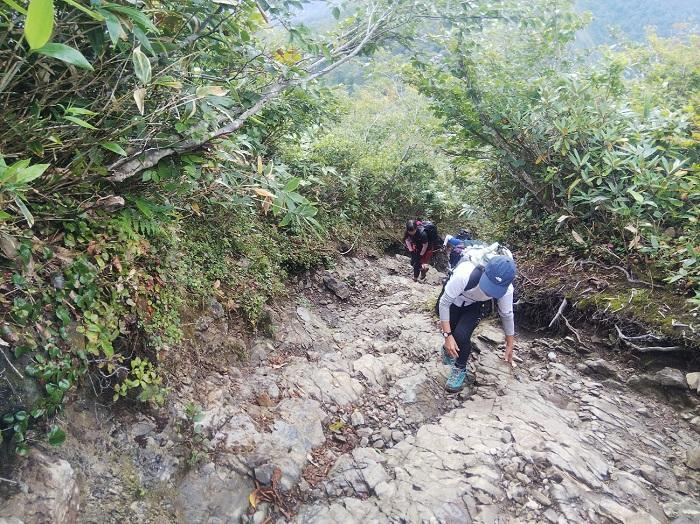 【初秋の登山】花と日本の百名山　苗場山と谷川岳へ！上信越山旅