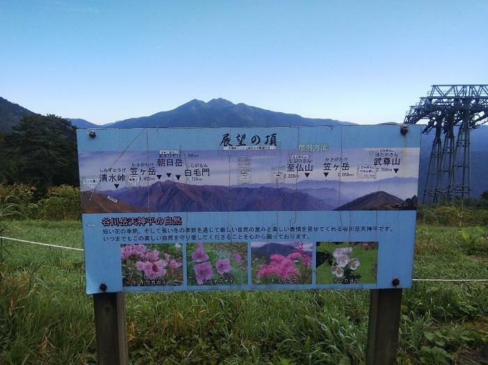 【初秋の登山】花と日本の百名山　苗場山と谷川岳へ！上信越山旅