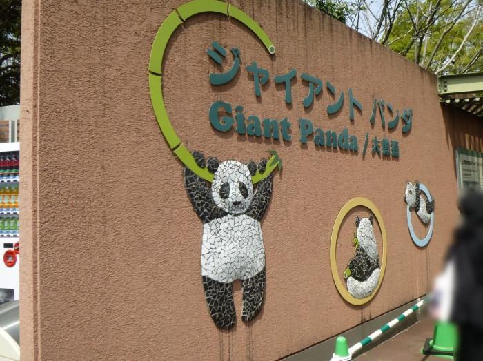 【東京】双子の赤ちゃんパンダ公開！上野動物園でシャオシャオとレイレイに会ってきました