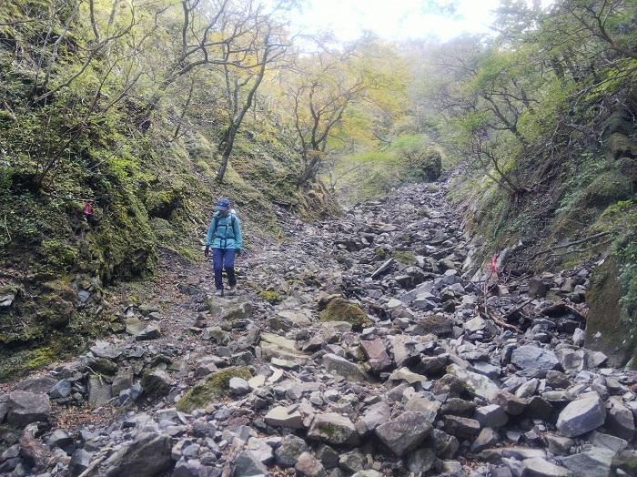 【日帰り登山】富士山を支える山・愛鷹（あしたか）山塊に登る