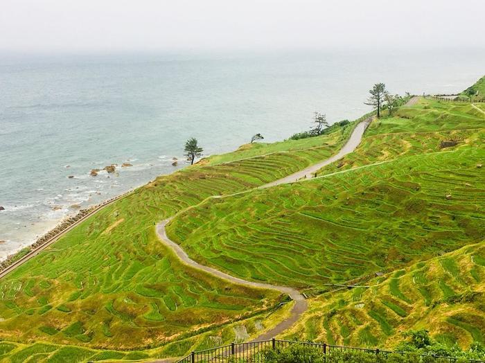 そこに行けば何がある・・？石川県さいはての地、能登半島へ行ってきました！