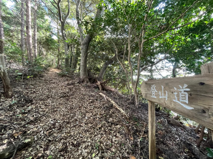 隠岐諸島で山登り！？山頂は海と大地の贅沢スポットを独り占めだった！