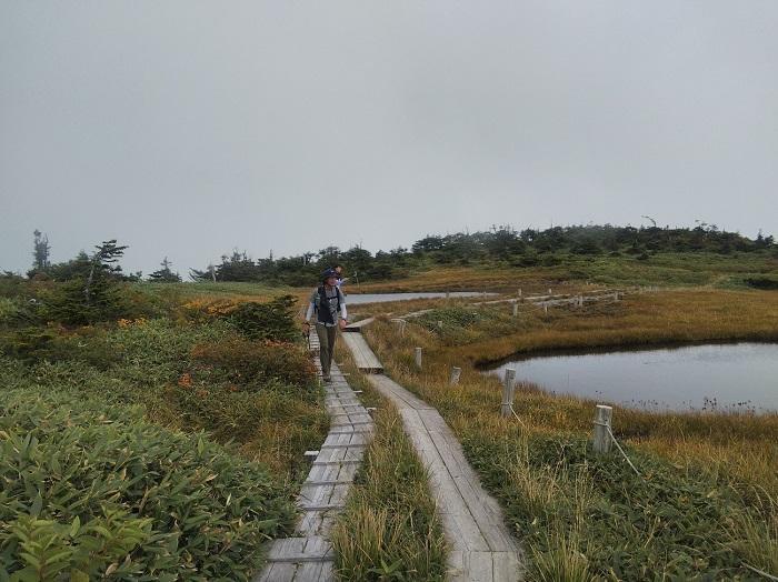 【初秋の登山】花と日本の百名山　苗場山と谷川岳へ！上信越山旅