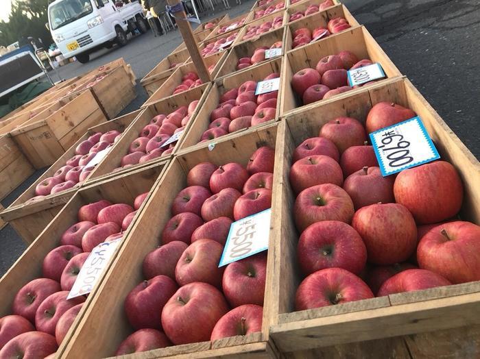 値段よし！雰囲気よし！味よし！三拍子そろった八戸市にある館鼻岩壁朝市