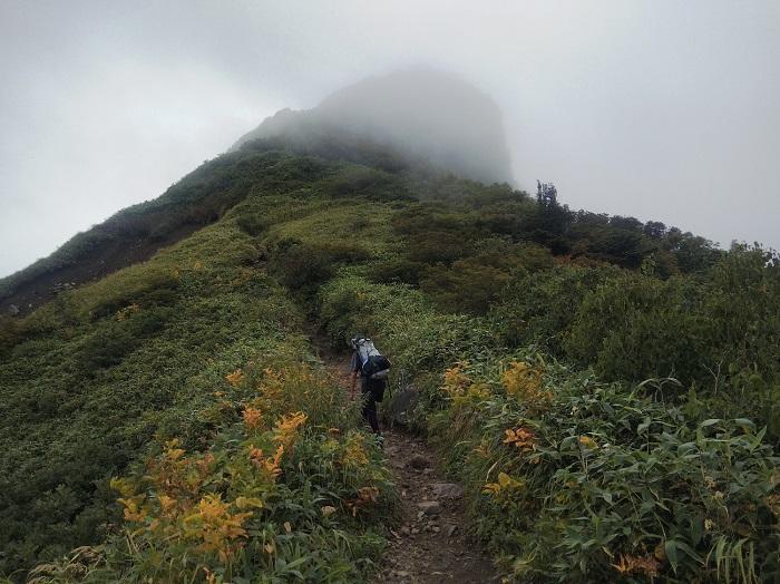 【初秋の登山】花と日本の百名山　苗場山と谷川岳へ！上信越山旅