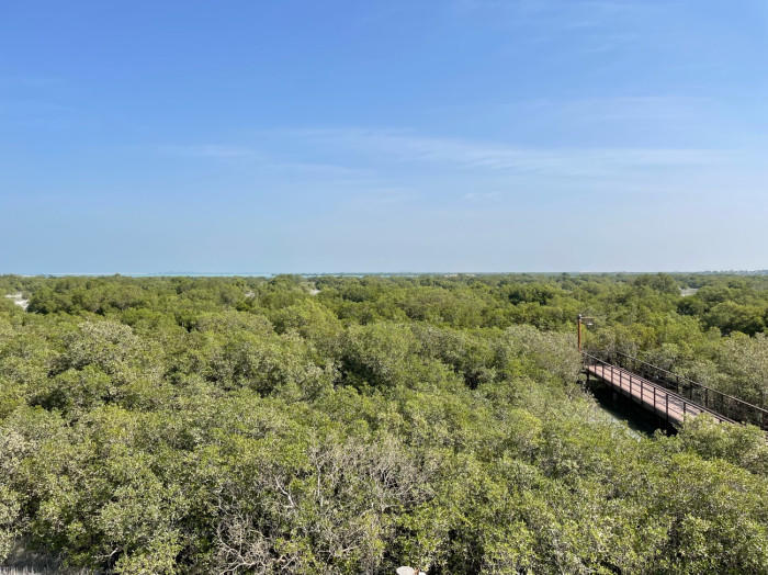 Jubail Mangrove Parkでマングローブの中を歩こう!