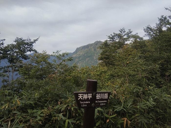 【初秋の登山】花と日本の百名山　苗場山と谷川岳へ！上信越山旅