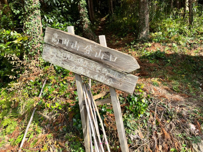 隠岐諸島で山登り！？山頂は海と大地の贅沢スポットを独り占めだった！