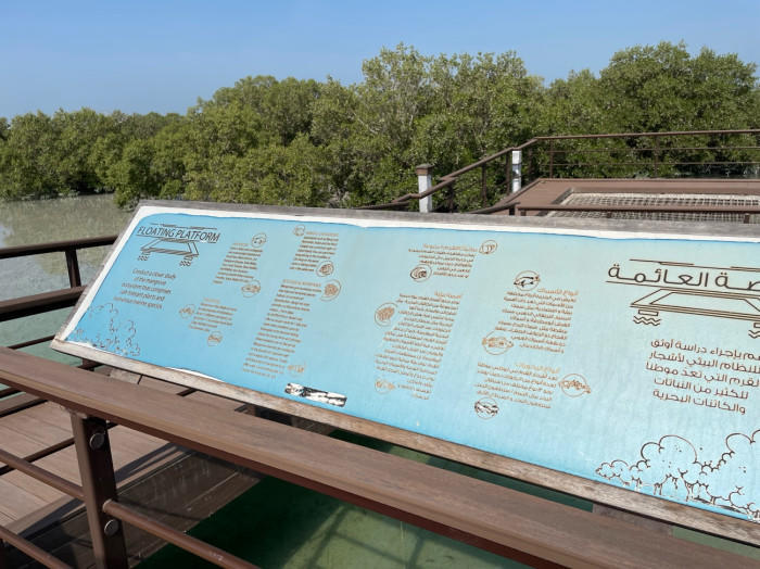 Jubail Mangrove Parkでマングローブの中を歩こう!